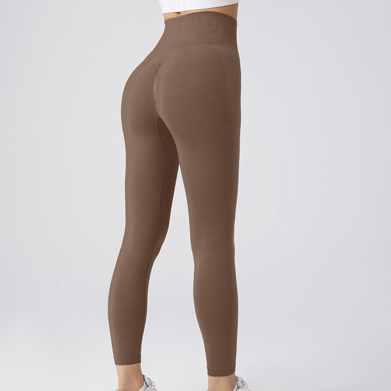 Seamless Yoga Legging