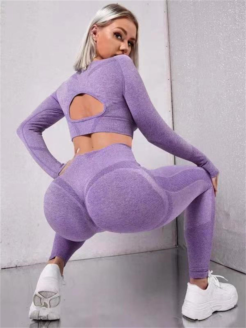 2pcs Seamless Gym Set