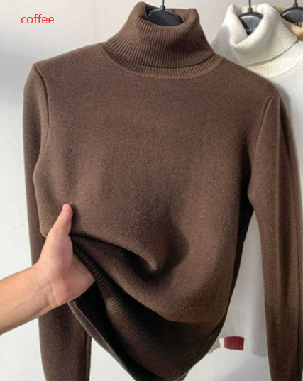 Fleece Lined Turtleneck Jumper