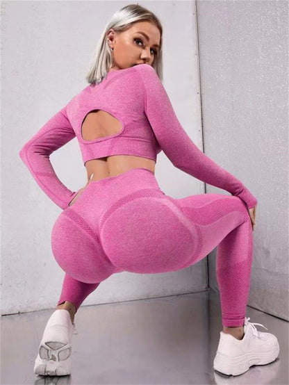 2pcs Seamless Gym Set