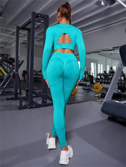 2pcs Seamless Gym Set